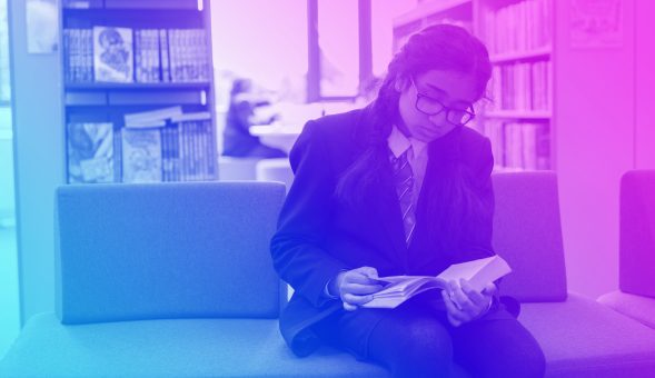 Learning DSC01446 589x340